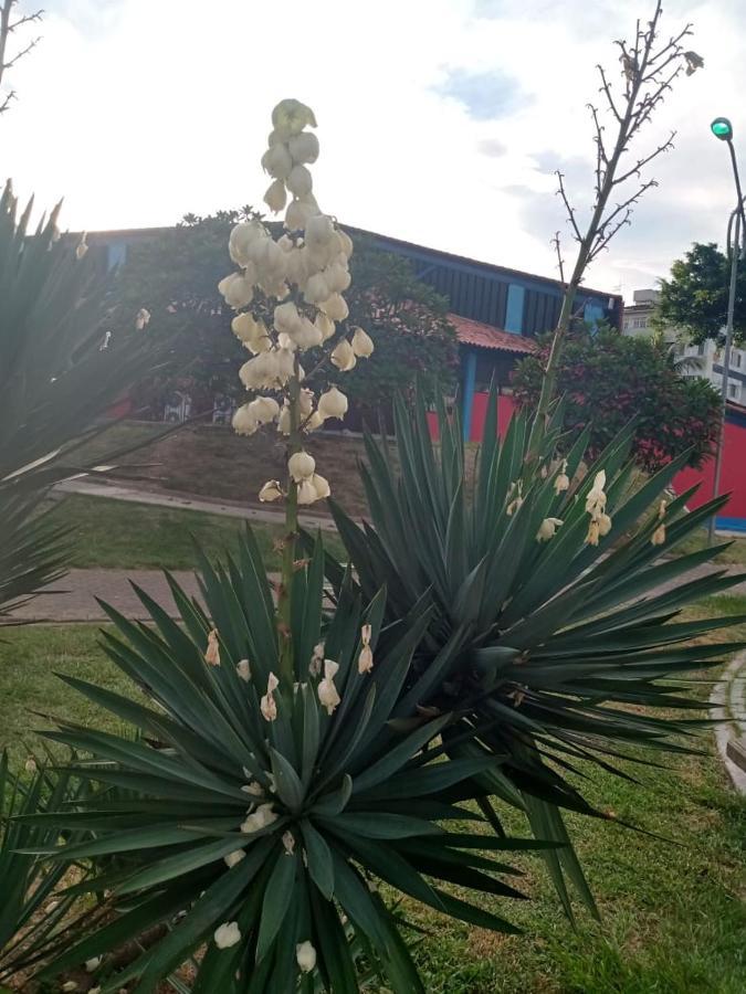 Apartamento Mobiliado 10 Minutos Da Praia Do Forte Cabo Frio Exterior photo
